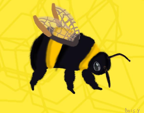 Bee drawing for @Hbee🐝