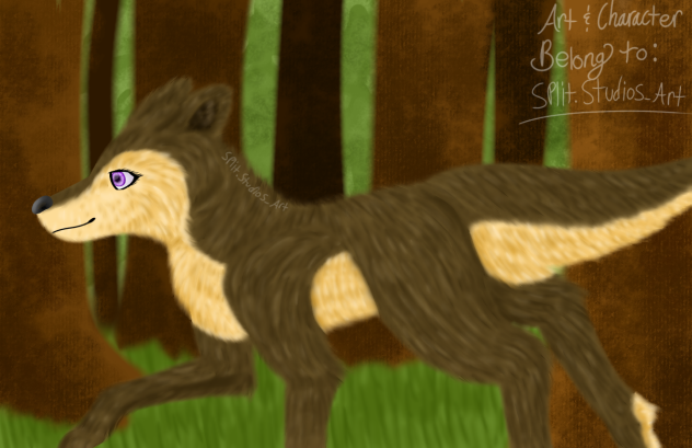 Lily The Wolf