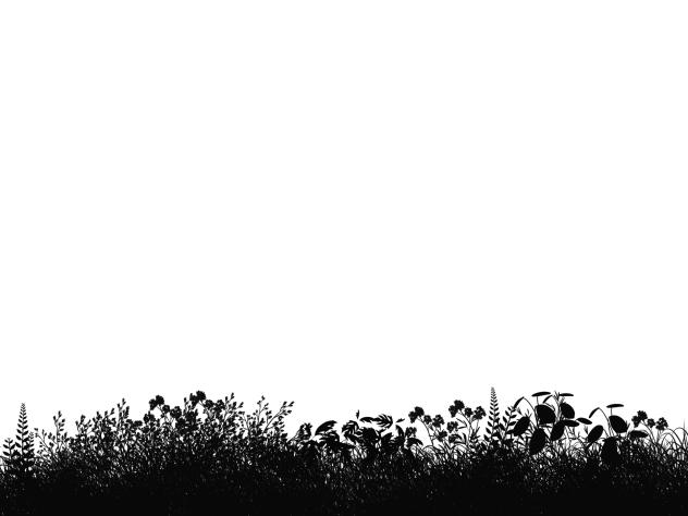 IBM4610 Forest grass Silhouette 02