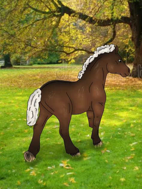 my horse toy as art #4