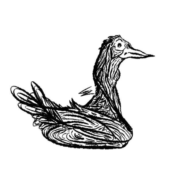Bird Doodle