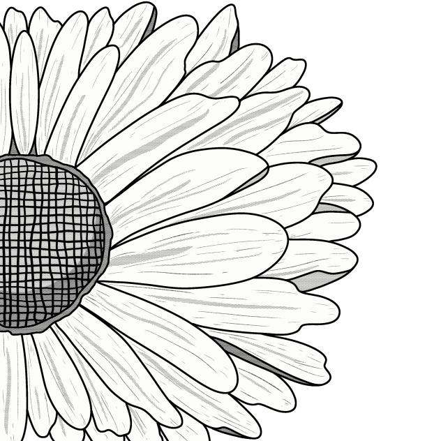 Daisy