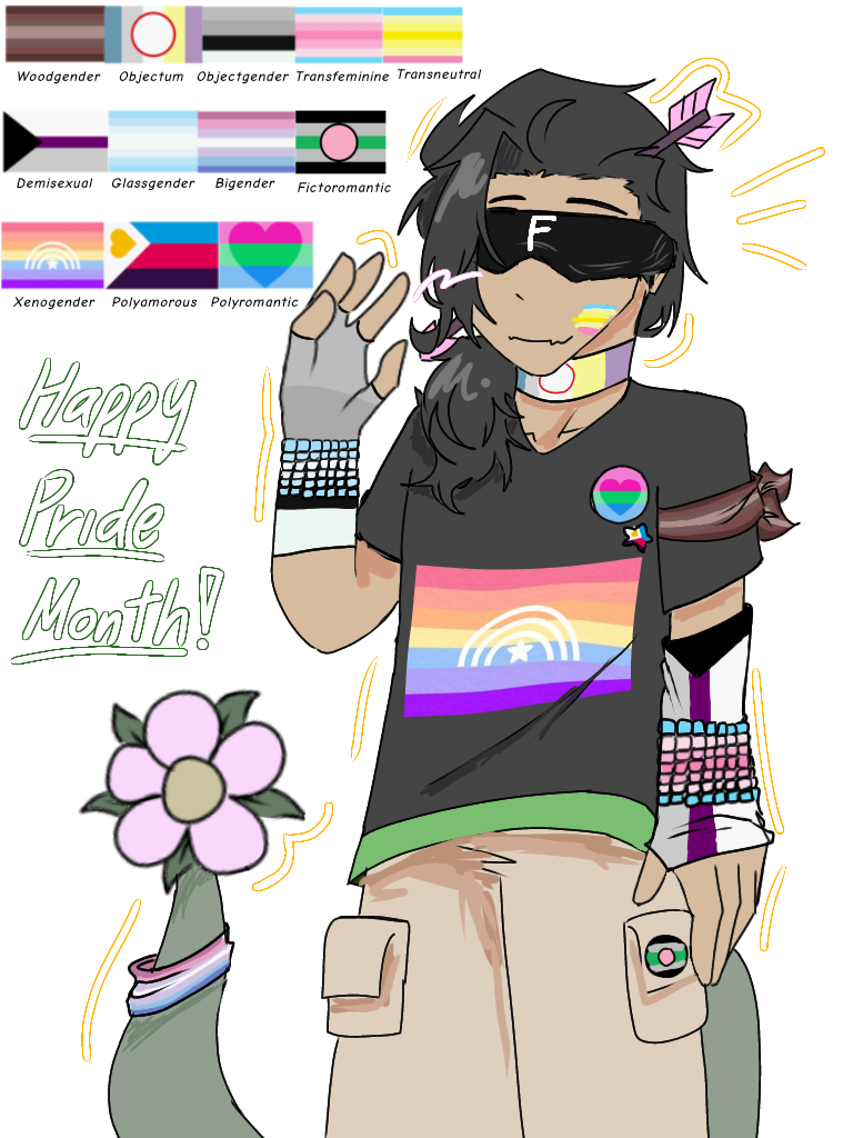 Bro has 12 flags💀 - ibisPaint