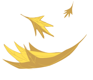 fallen (some kind of) leaves - colored