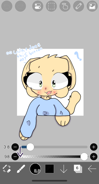 Oo wat does this button do