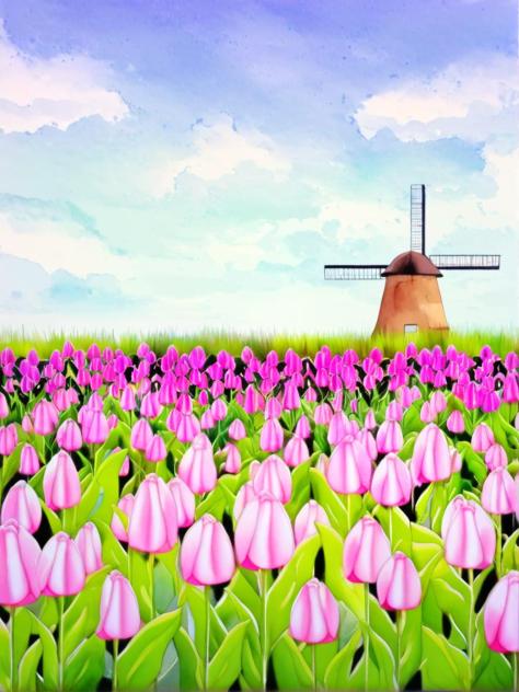 Tulip Field (Morning) (Watercolour)