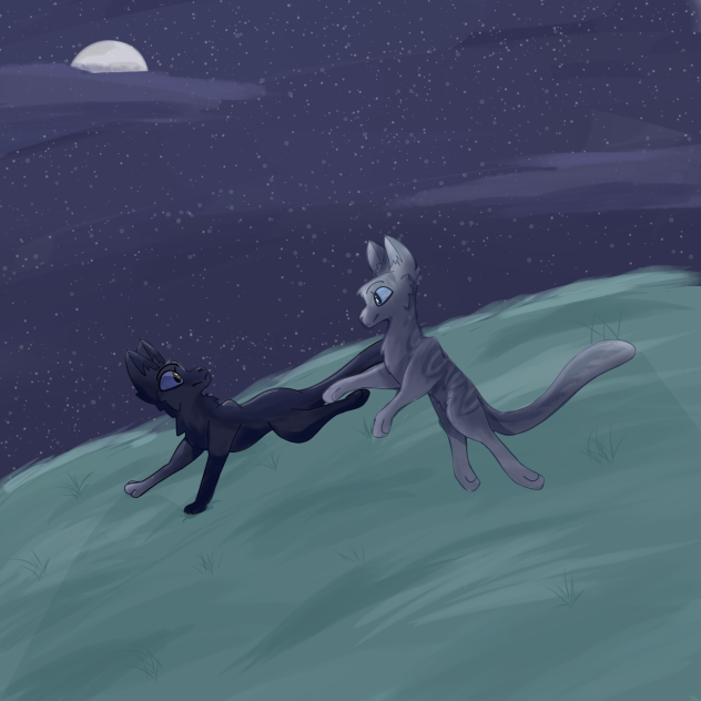 cats - ibisPaint