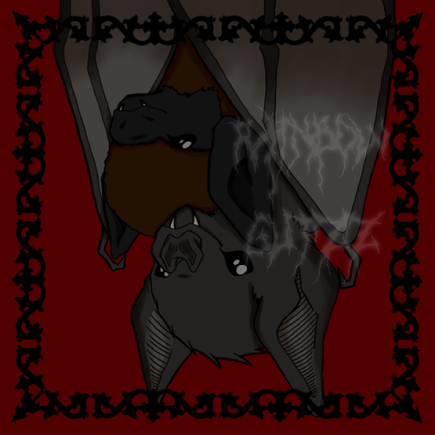 Cuddle batz