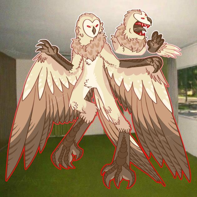 the owl redesign