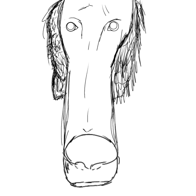 dog.