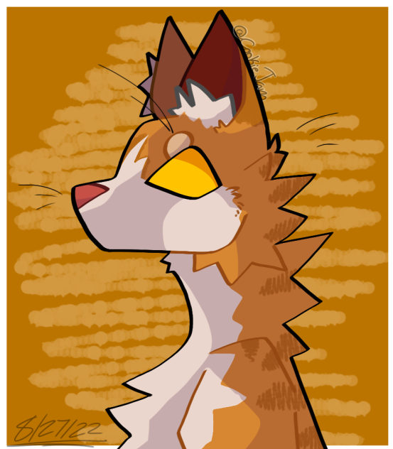 OranG cAt