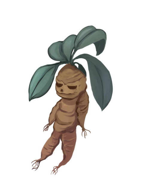 マンドレイク(静)