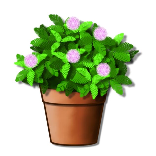 Plant Memosa Material 01