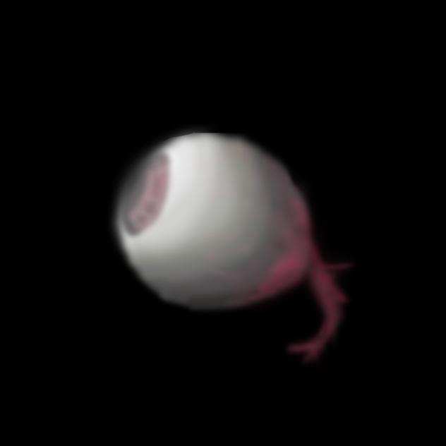 Eyeball