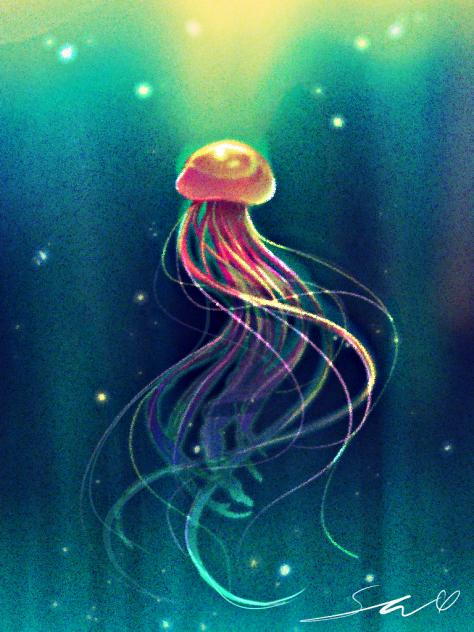 jelly-fish✨