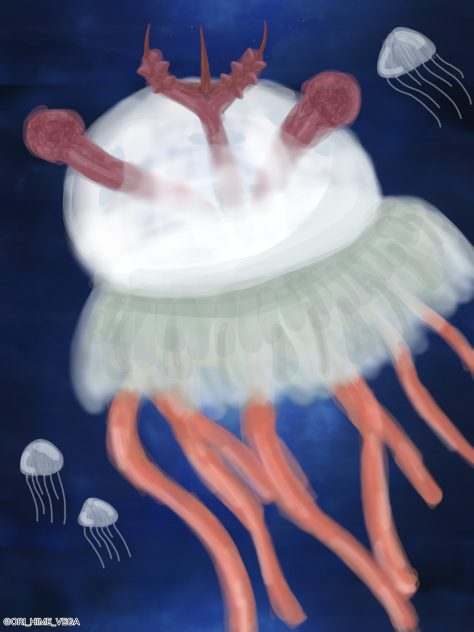 卑猥くらげ