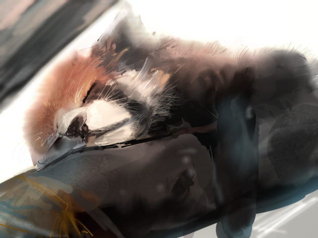 sleep