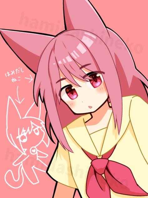 はみだしねこ🐾