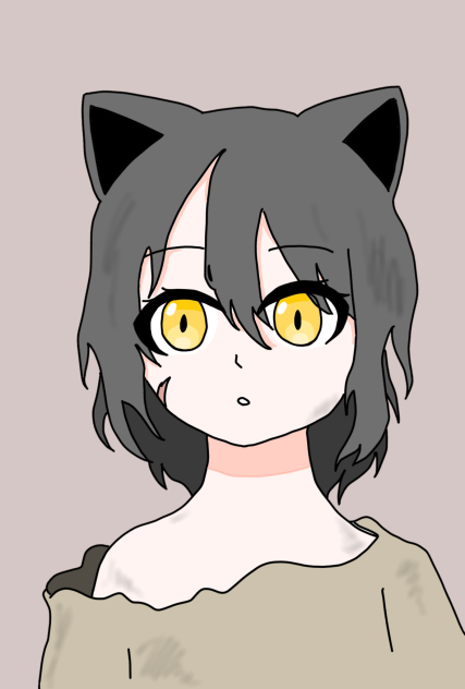 野良猫