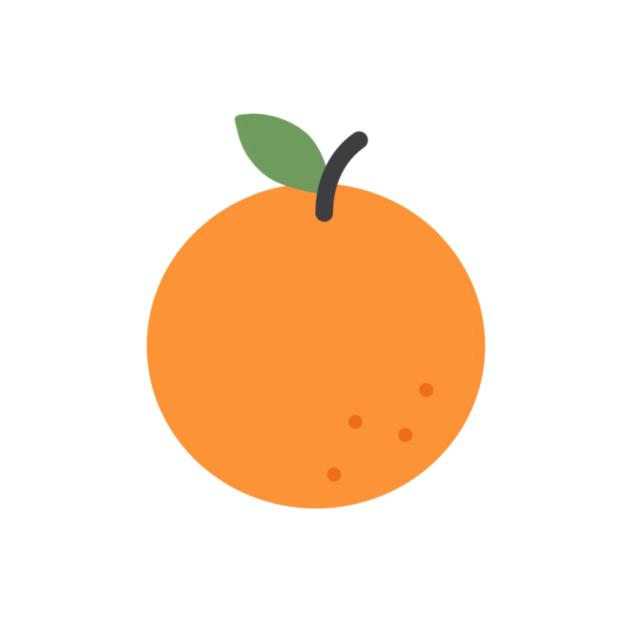 Orange icon