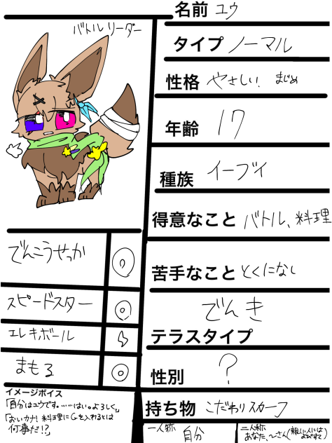 バトルリーダーでーーす