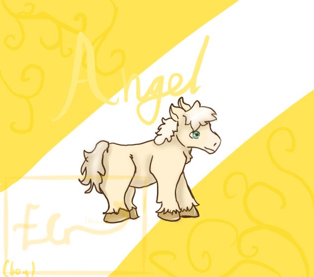 YES ANOTHER PALOMINO SO WHAT