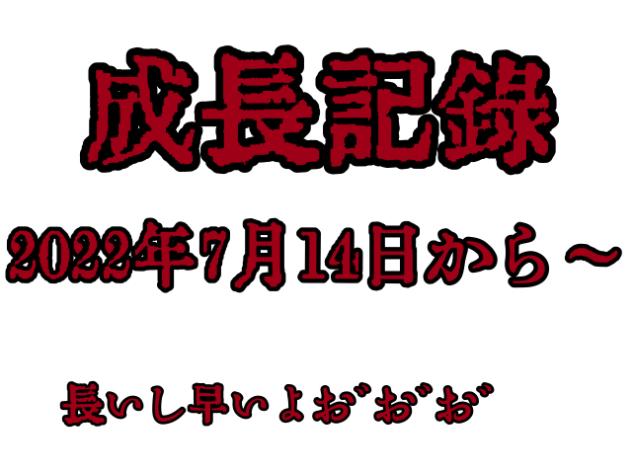 成長記録だよ！！
