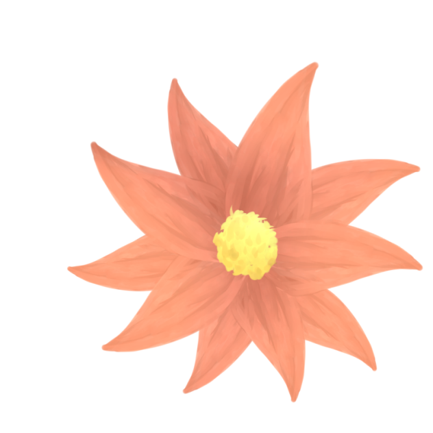 わわわふらわー！(((