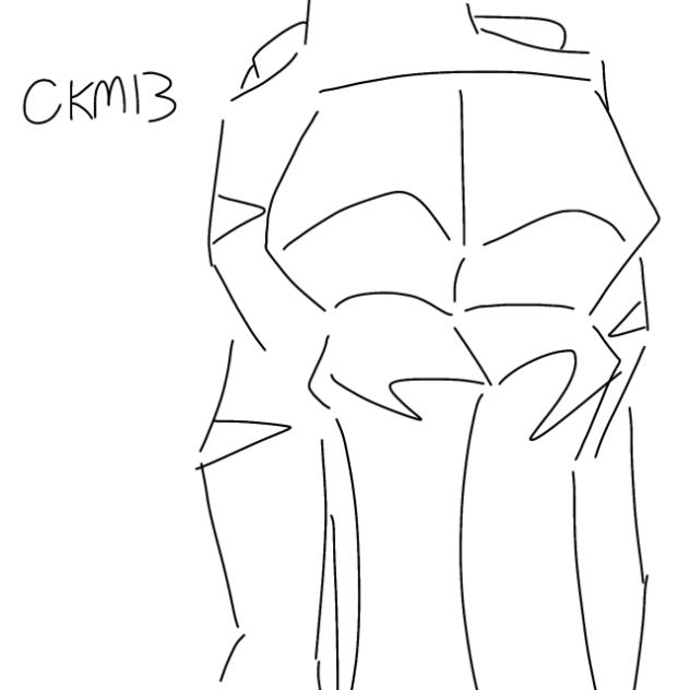 Leosagi animation (cringe)