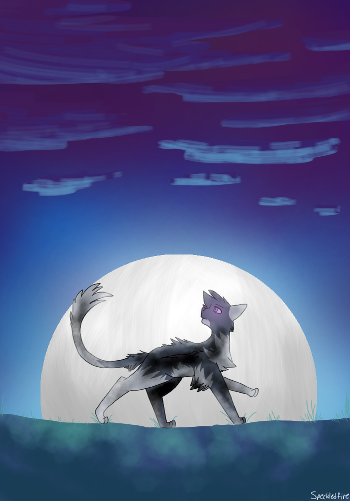 Cat - ibisPaint