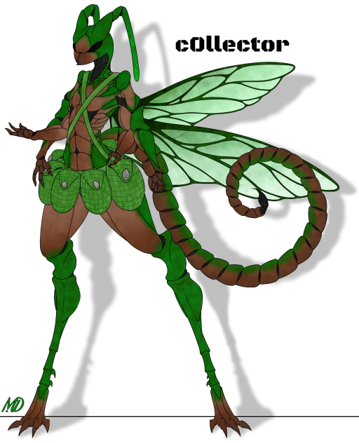 The wasp Collector
