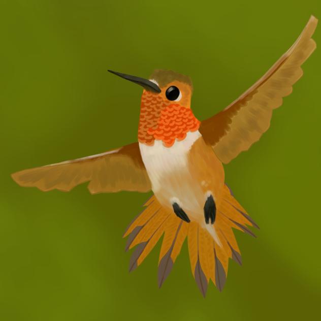 Hummingbird