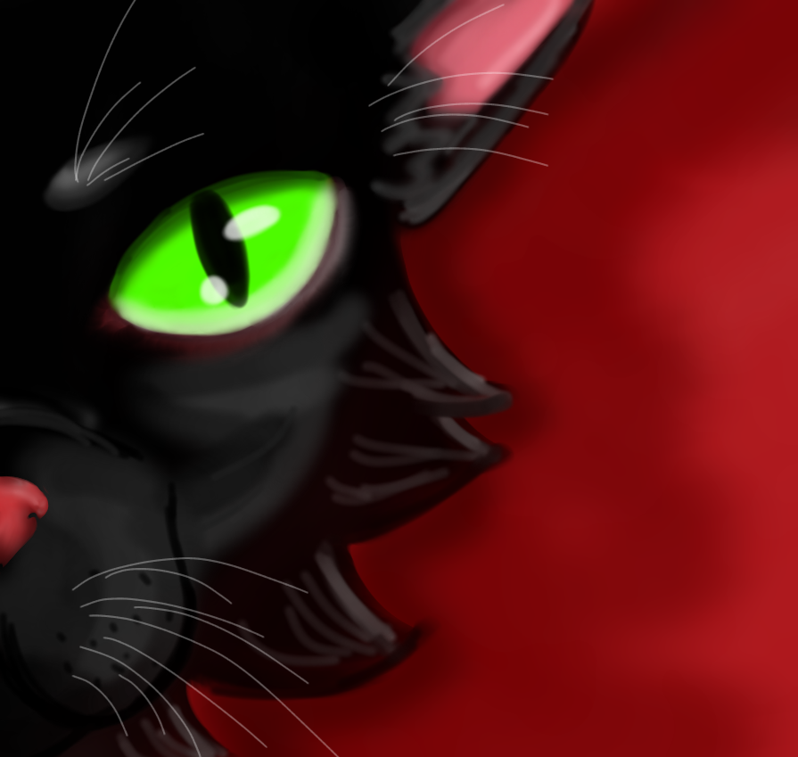 🐱 kitty 🐱 - ibisPaint