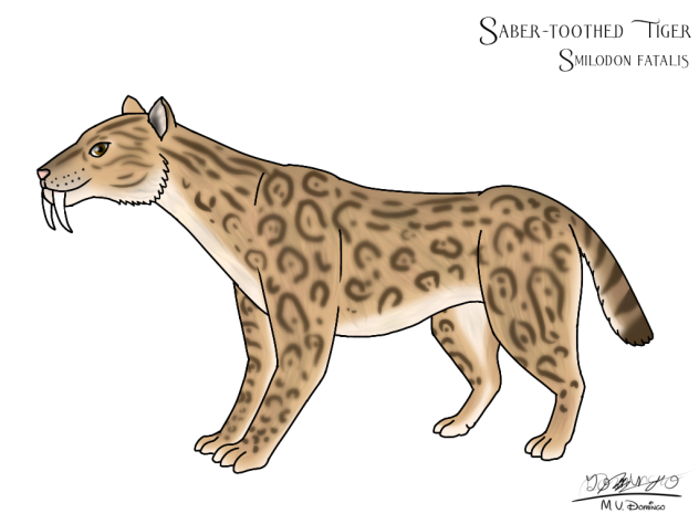 Smilodon fatalis