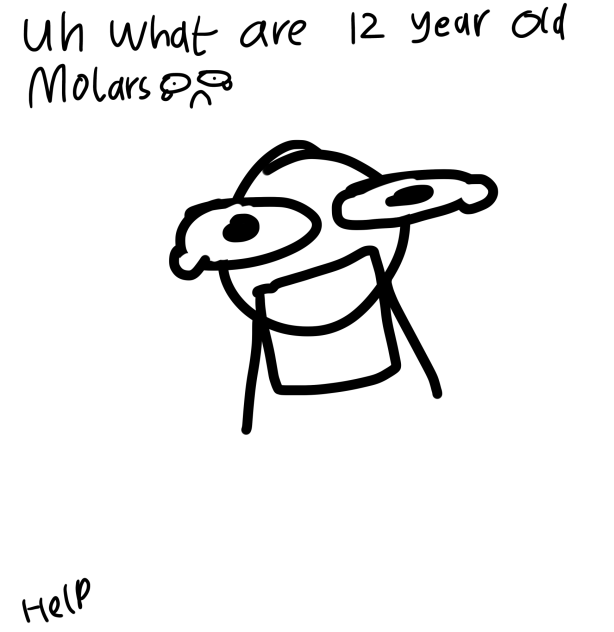 What are 12 year old molars X3