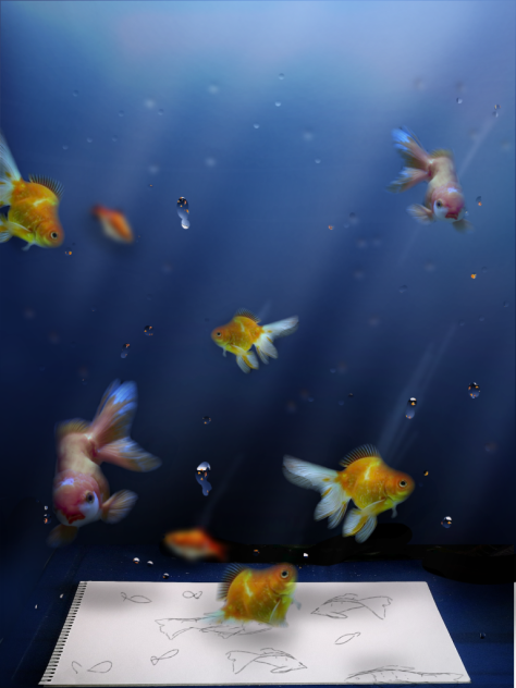 gold 🐟 - ibisPaint