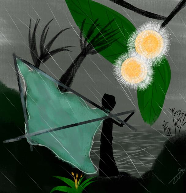 Bg - ibisPaint