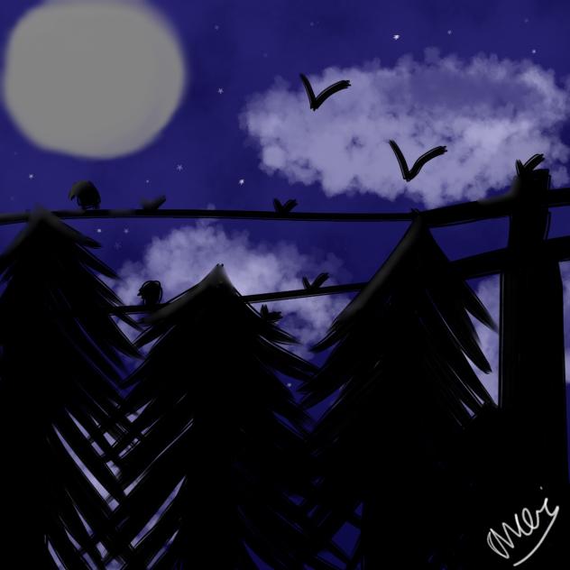 night sky with birds