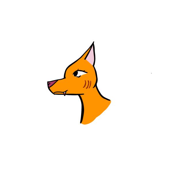 Im tryin to get better at drawing animls