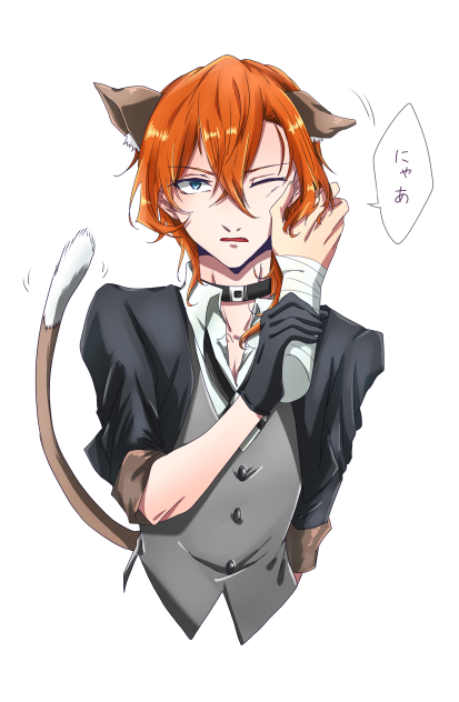 猫