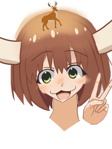 Shika noko noko