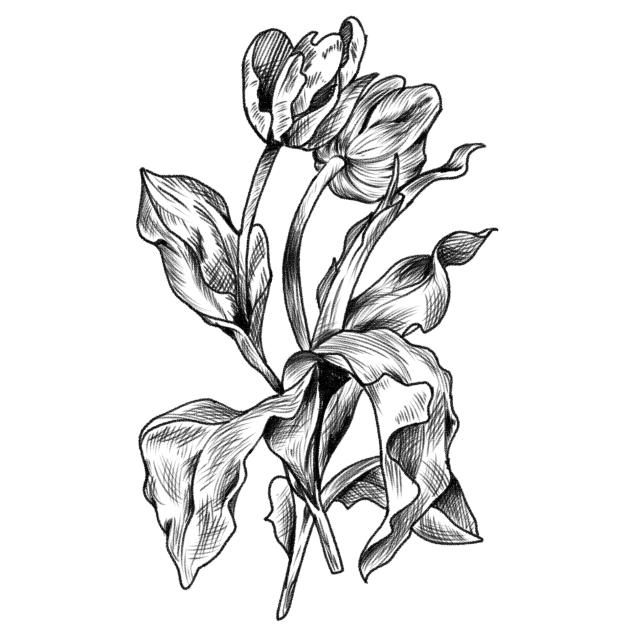 flowers 2