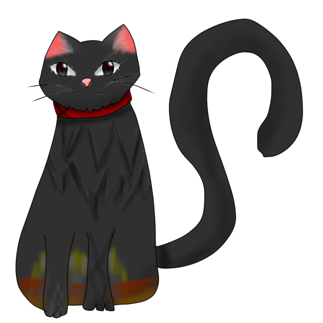 黒色猫