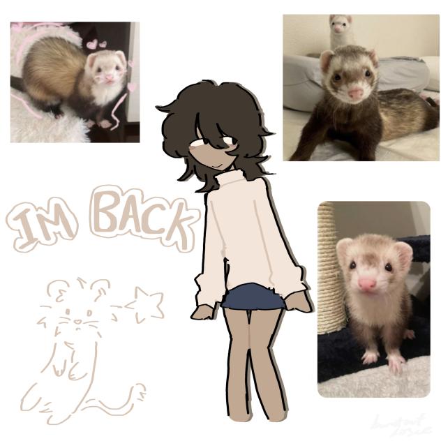 I’m back lol