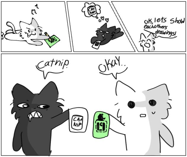 4 cat