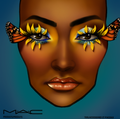 MAC Face Chart