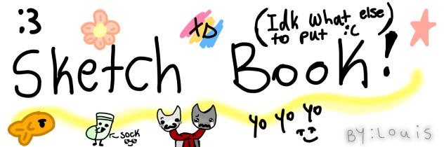 sketch book tour's banner