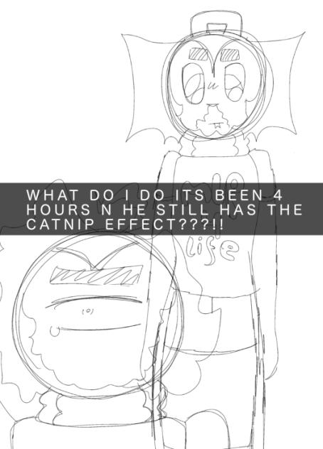 Catnip again