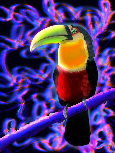 vibey toucan