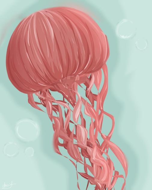 Jellyfish - ibisPaint
